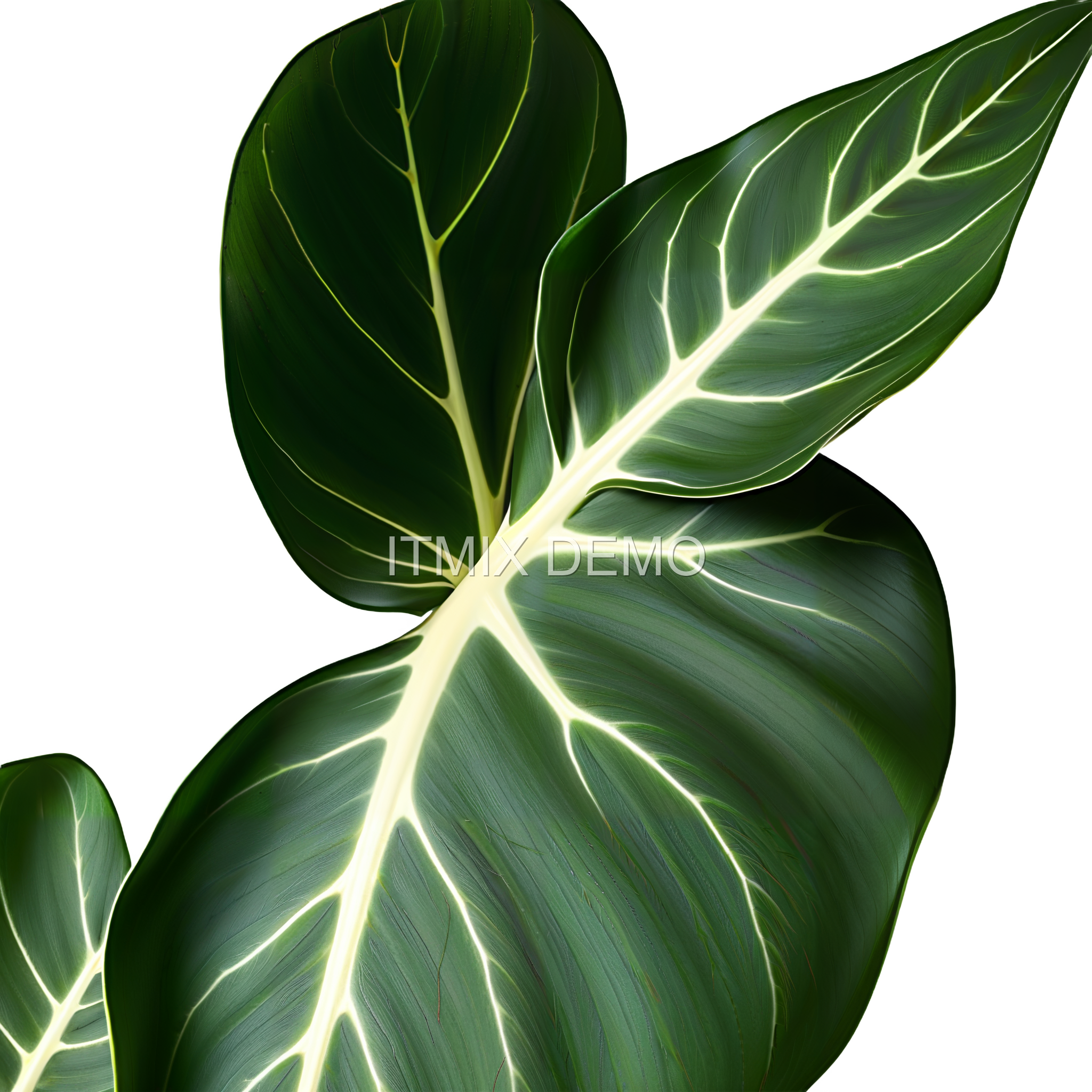 BOTANY PACK 09 — Shade Foliage - Image 2