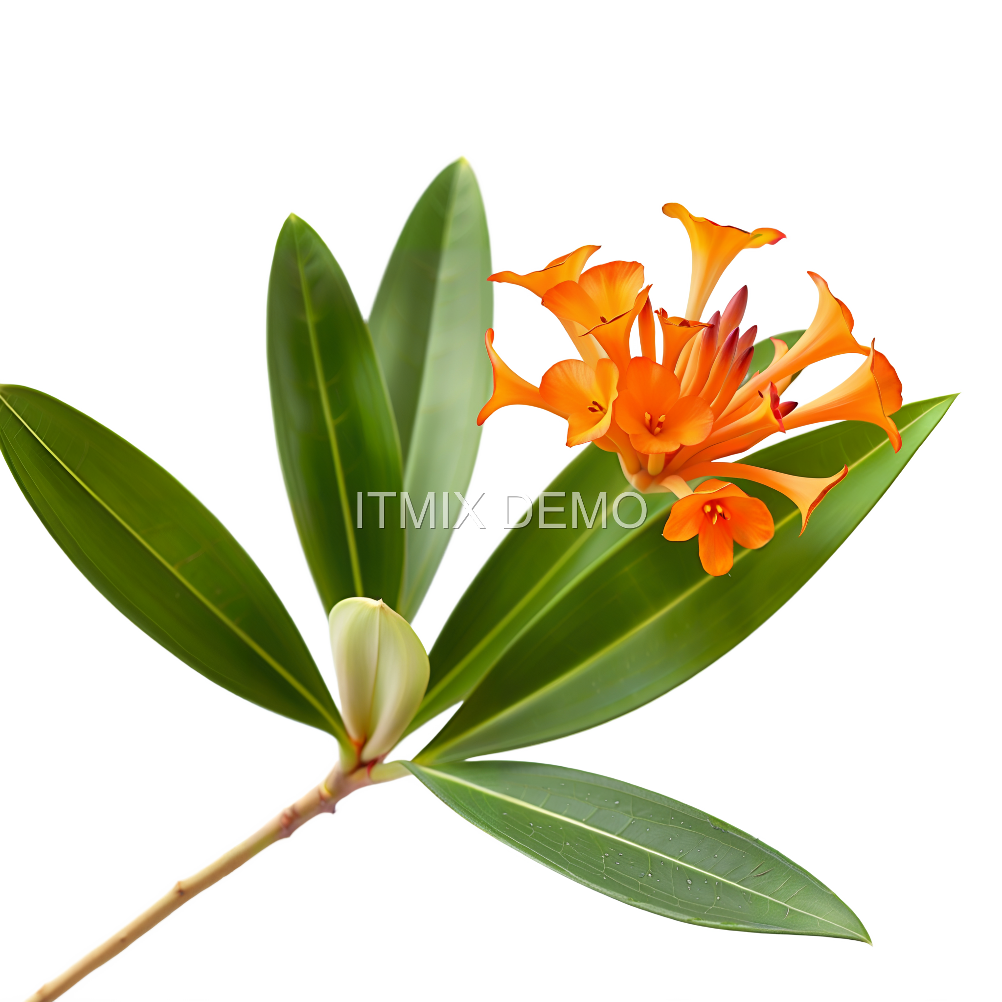 BOTANY PACK 09 — Shade Foliage - Image 5