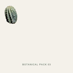 BOT-012 — 3D Pack