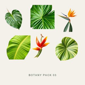 BOTANY PACK 03 — Tropical Foliage