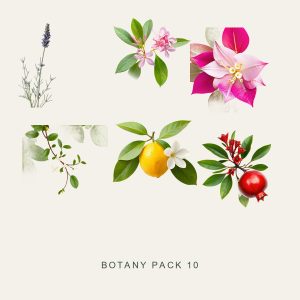 BOTANY PACK 10 — Mediterranean Garden